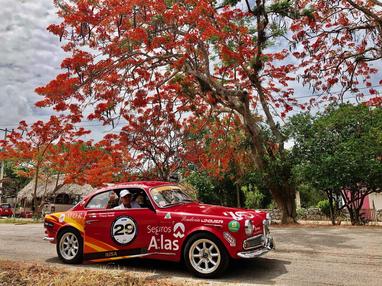 Rally-Maya-022-Alfa-Giulietta-Sprint